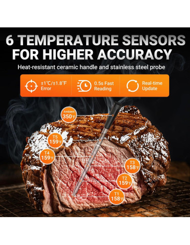 Termómetro de Carne Inalámbrico Bluetooth Housolution, 2 Sondas, Pantalla LCD
