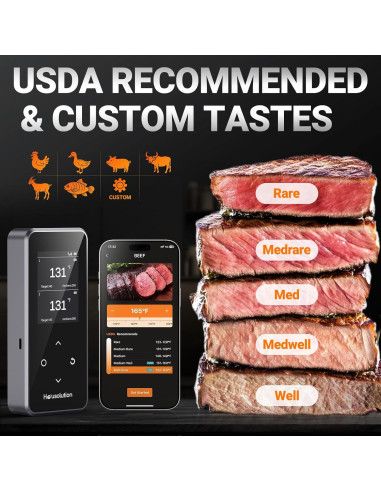 Termómetro de Carne Inalámbrico Bluetooth Housolution, 2 Sondas, Pantalla LCD