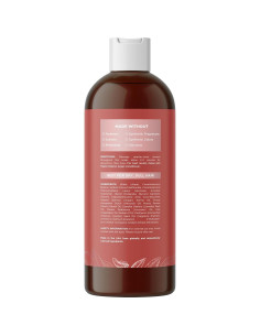 Champú de Aceite de Argán Maple Holistics 454g Sin Sulfatos 2