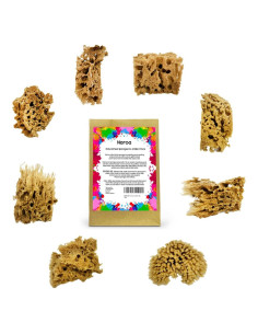 Esponjas Marinas Naturales Naroa para Pintura 8 Piezas