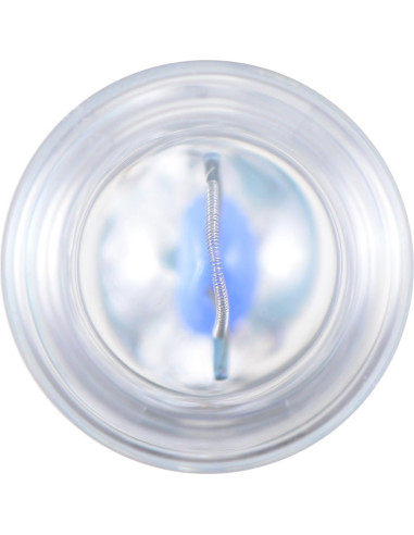 Bombilla Luz Antiniebla Delantera PartCatalog PC-3037308