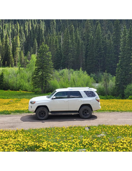 Calcomanías Florales para Ventana Lateral Trasera Xinghe 42x100cm