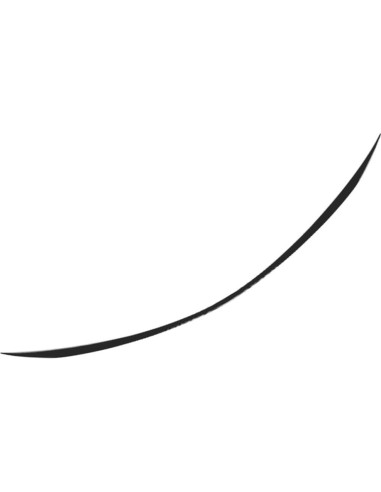 Alerón Trasero GZYF para Mercedes Benz Clase C W205 2015-2021