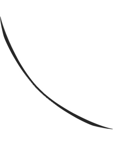 Alerón Trasero GZYF para Mercedes Benz Clase C W205 2015-2021