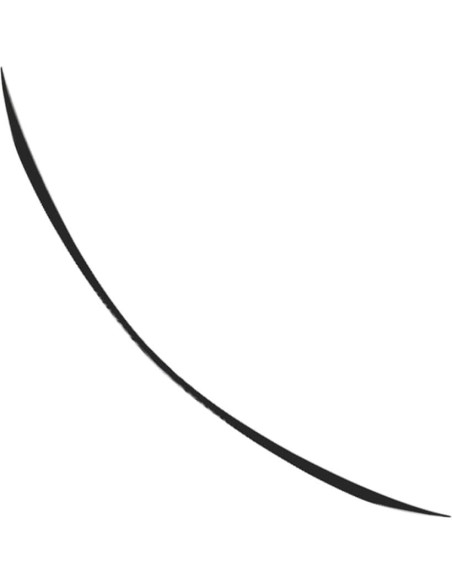 Alerón Trasero GZYF para Mercedes Benz Clase C W205 2015-2021