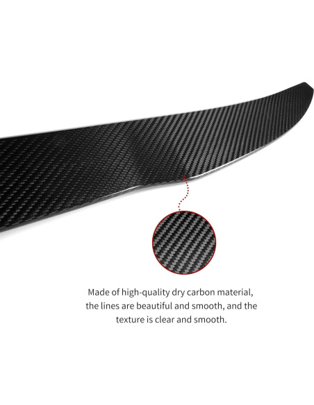 Alerón trasero fibra de carbono EHBOTA para BMW X4 G02 2019+