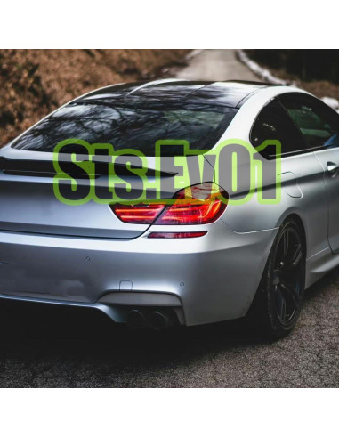 Ala Trasera STSEV01 para BMW Serie 6 F06/F13 2012-2019