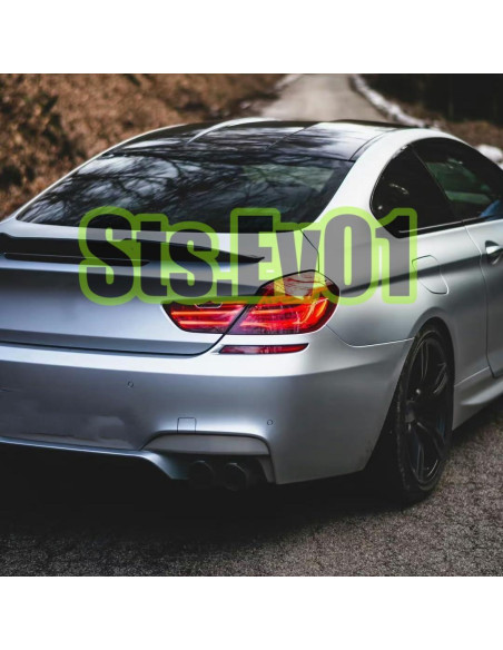 Ala Trasera STSEV01 para BMW Serie 6 F06/F13 2012-2019