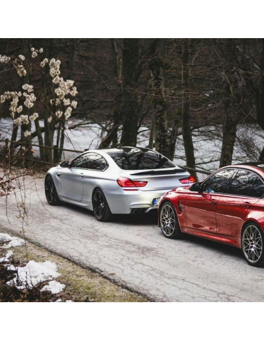 Ala Trasera STSEV01 para BMW Serie 6 F06/F13 2012-2019