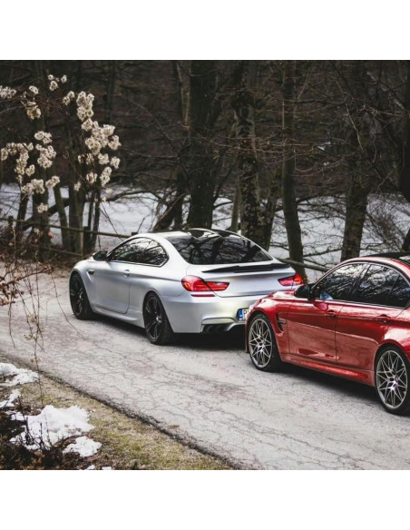 Ala Trasera STSEV01 para BMW Serie 6 F06/F13 2012-2019