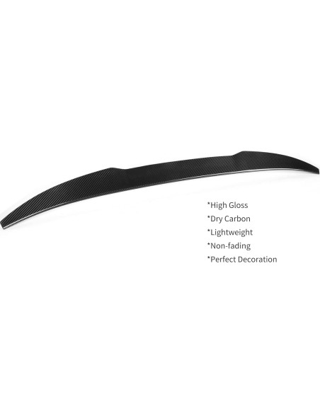 Alerón trasero fibra de carbono EHBOTA para BMW X4 G02 2019+