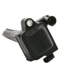 Bobina de Encendido Delphi GN10218 para Coche y Camión