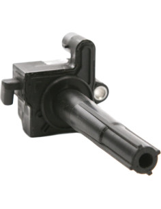 Bobina de Encendido Delphi GN10218 para Coche y Camión 2