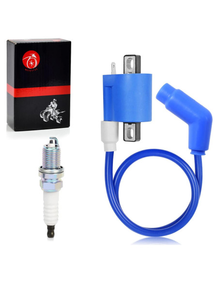 Bobina de Encendido y Bujías MOTO1988 para Polaris ATV