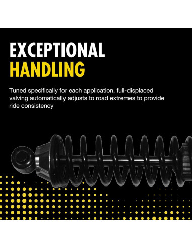 Amortiguadores de Carga Ajustable Monroe 58629 para Ford F-150