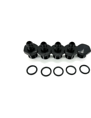 Kit Riel de Combustible Pateyney LS1 LS6 6AN Aluminio