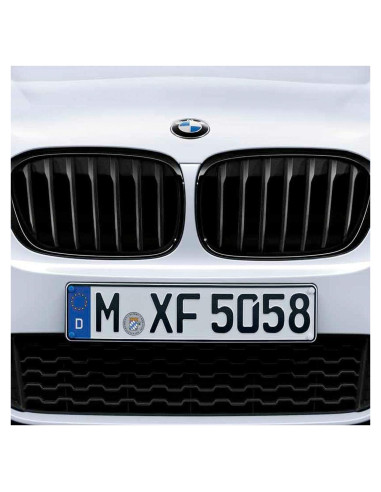 Rejilla de Riñón Brillante Negra BMW F39 X2 OEM