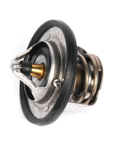 Termostato de Refrigerante GM ACDelco 19316307 Original