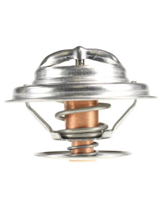 Termostato de Refrigerante MotoRad 248-192 para Ford y Audi