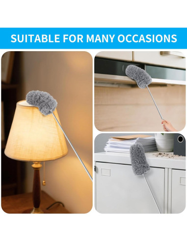 Mini Plumero Telescópico TIMIVO de Microfibra 2 Piezas