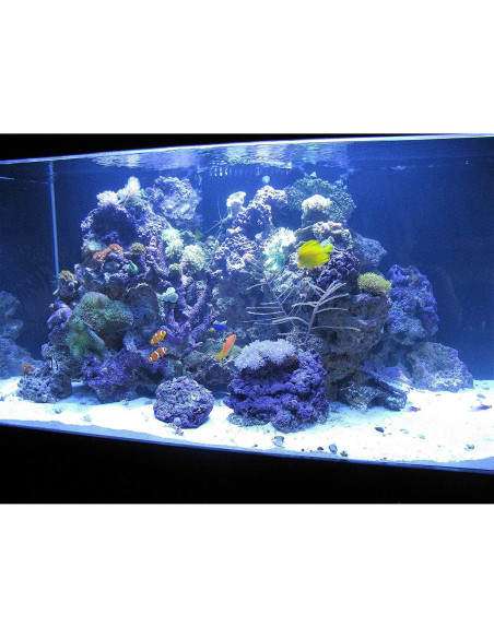 Filtro Kolar Labs Clear 2 Paquete 378.5L Acuarios Mediano