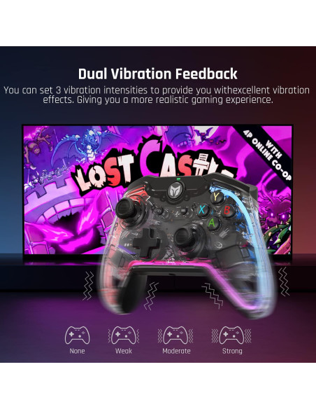 Controlador BIGBIG WON Rainbow S con Cable para Switch