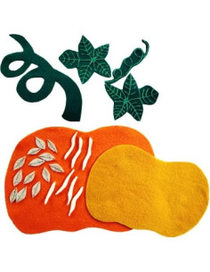 Conjunto de Fieltro Anatomía de Calabaza Montessori 3+ Años 2