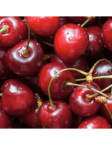 Ambientador Chemical Guys AIR22804 Cereza Fresca 118.3 ml