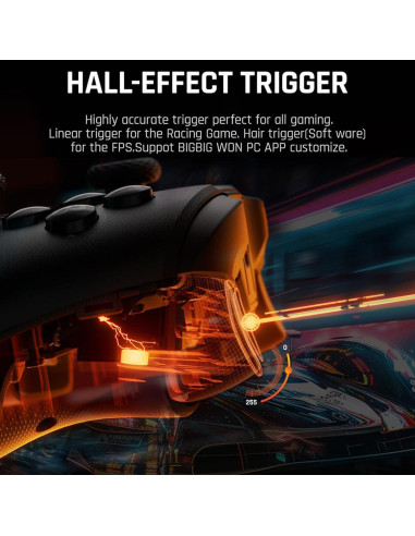 Controlador Inalámbrico BIGBIG WON Gale Hall para PC y Switch