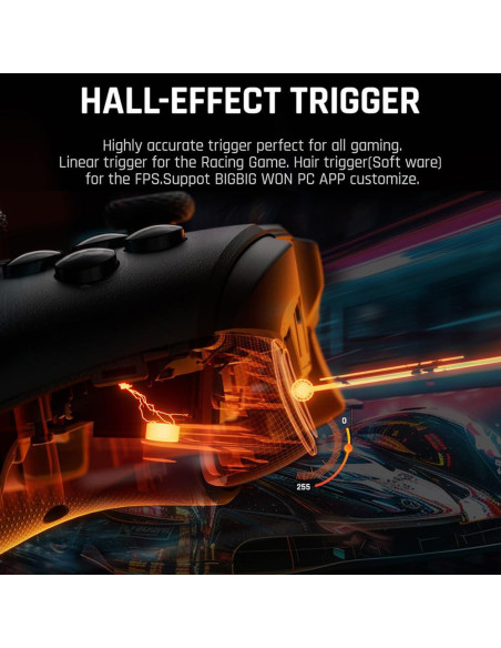 Controlador Inalámbrico BIGBIG WON Gale Hall para PC y Switch