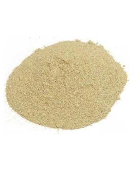 Polvo de Nopal Orgánico 450g - Hierbas Puras