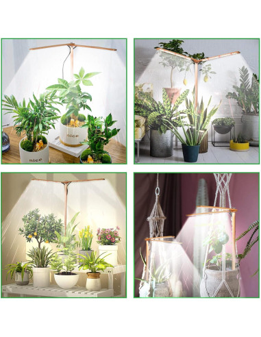 Luz de Crecimiento LED 2 Cabezas Madera Bambú 6000K Interior