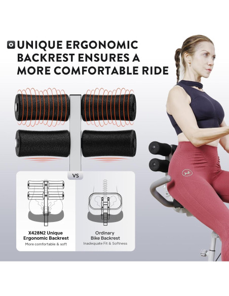 Bicicleta de Ejercicio Plegable Birdfeel 5-en-1 Resistencia Magnética