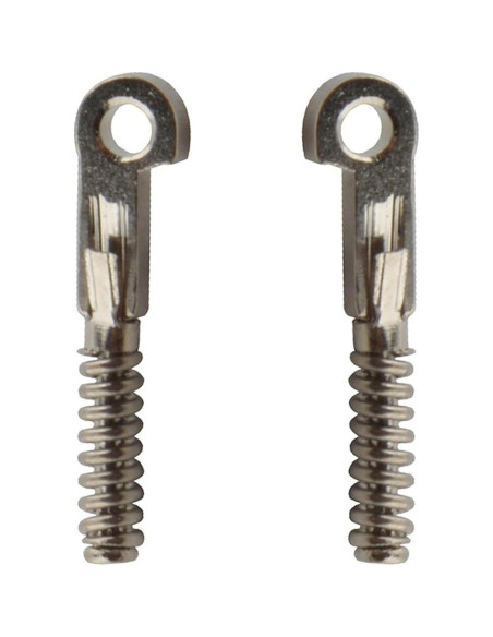 100 Piezas Bisagras de Metal para Gafas ALEYHA - Reemplazo