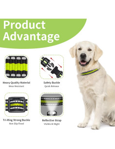 Collar Ajustable Reflectante para Perros Peture 68.6 cm 2