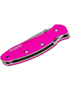 Cuchillo de Bolsillo Kershaw Chive Rosa 420HC 12.2 cm 2