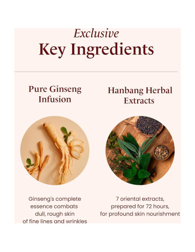 Conjunto de Cuidado de la Piel Sooryehan Bichaek 206 ml - Rejuvenecedor