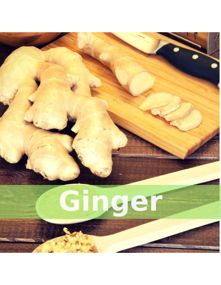 Tónico Herbal SpeedyVite 59 ml Orgánico Inmunológico