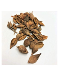 Hierba China Lian Qiao - Forsythiae 0.45 kg - Plum Dragon