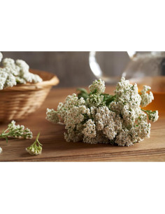 Té de Flores de Milenrama 30g - 100% Natural - Fluxias 2