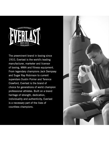 Soporte Universal para Saco Pesado Everlast 45kg