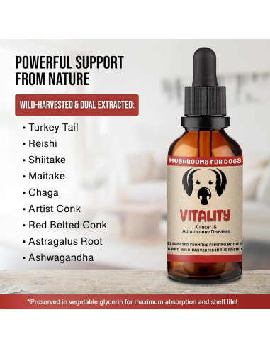 Paquete de Bienestar Dual para Perros - Removedor de Verrugas y Bálsamo de Cáñamo