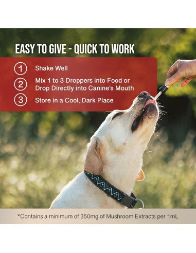 Paquete de Bienestar Dual para Perros - Removedor de Verrugas y Bálsamo de Cáñamo