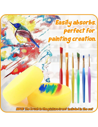 25 Pcs Esponjas de Cerámica Rokkuon para Pintura y Arcilla