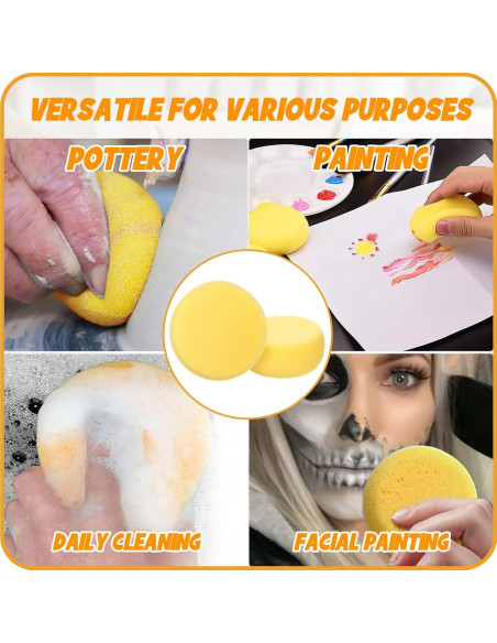 25 Pcs Esponjas de Cerámica Rokkuon para Pintura y Arcilla