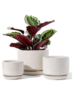 Macetas de Cerámica LE TAUCI Set de 3 con Drenaje Beige