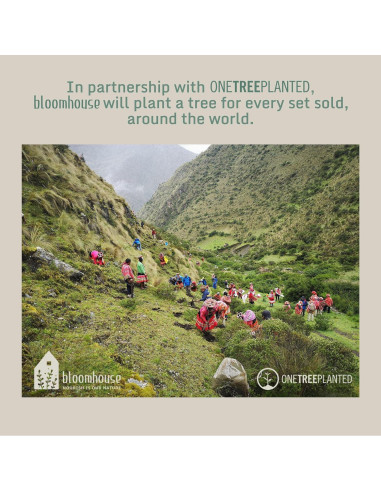 Juego de Tazas de Cerámica Bloomhouse 4 Piezas 532ml