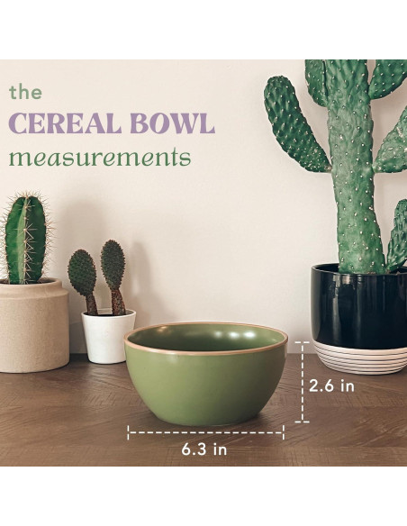 Juego de 4 Tazones de Cerámica Mora 28oz Colores Safari