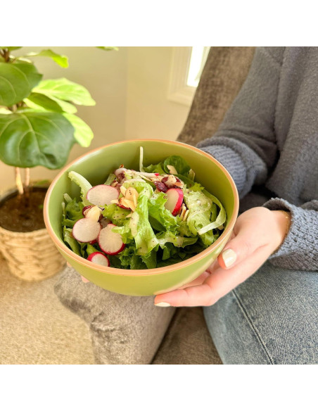 Juego de 4 Tazones de Cerámica Mora 28oz Colores Safari