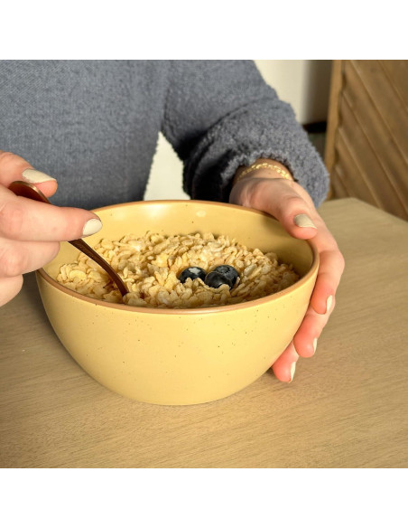 Juego de 4 Tazones de Cerámica Mora 28oz Colores Safari